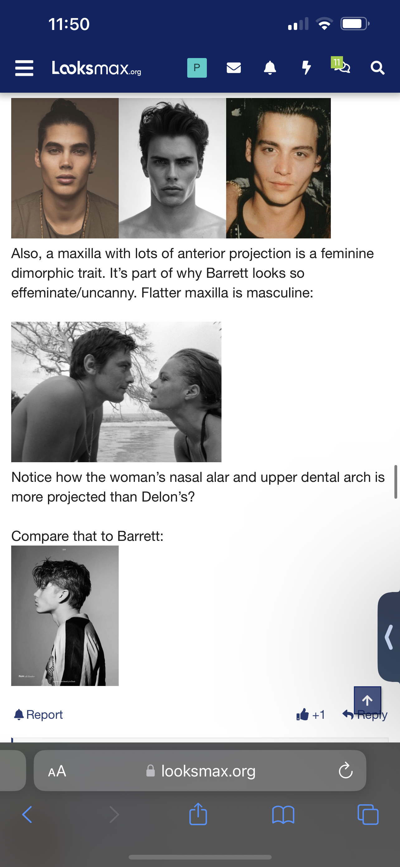 6BB8F7B8 E94E 441B AF46 03D8FB389531