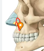 1696536848313