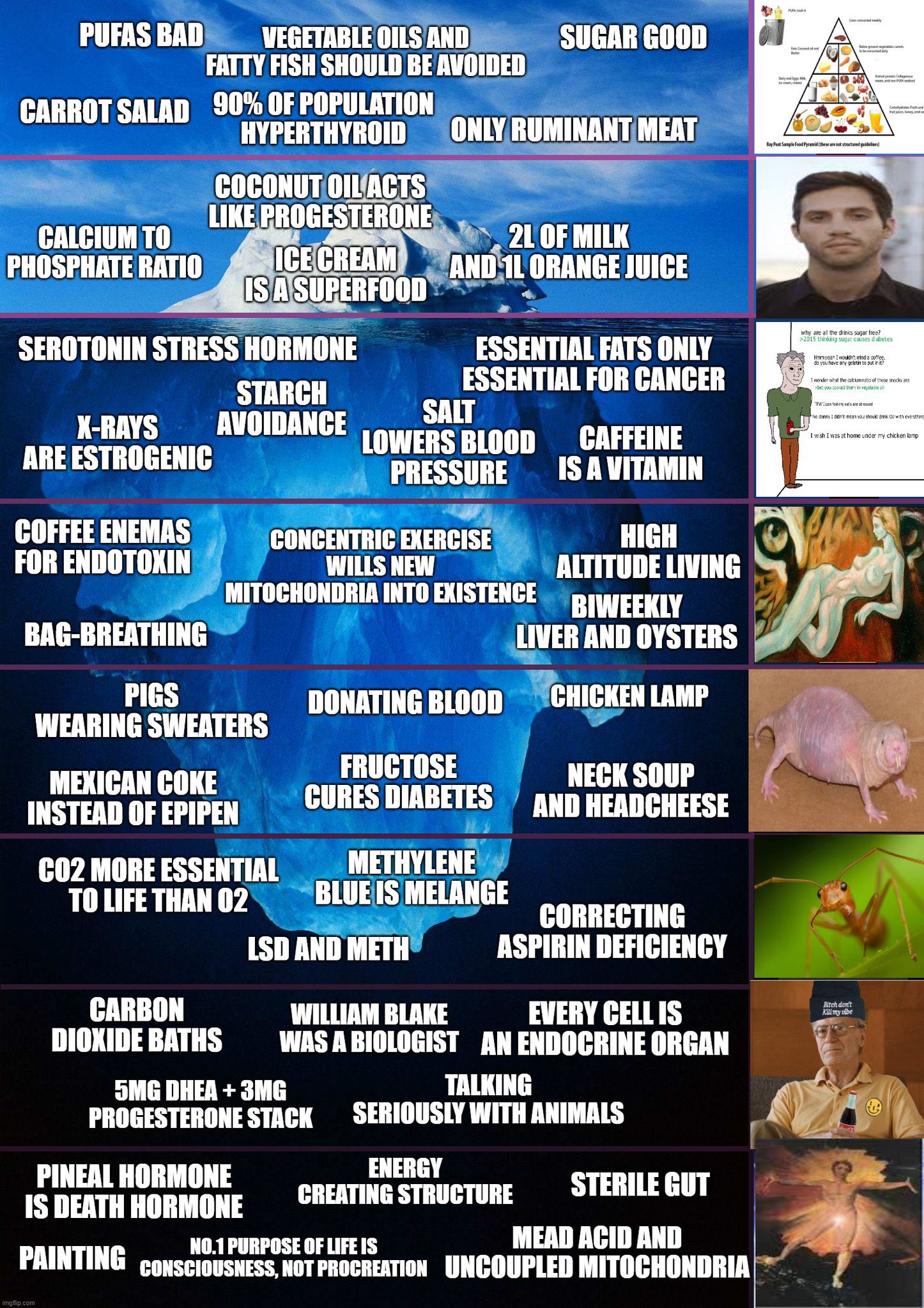 67798151 DEBF 4511 8403 C23446E22921
