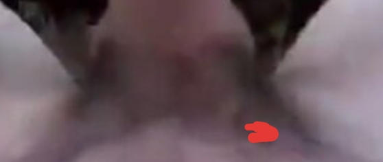 20231007 105736
