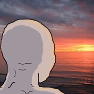 24459