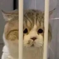 30254