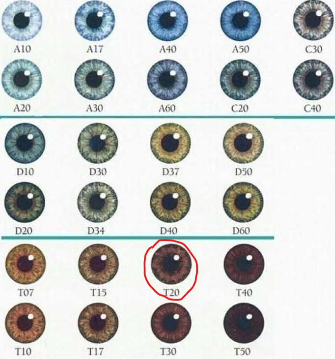 1696777898774