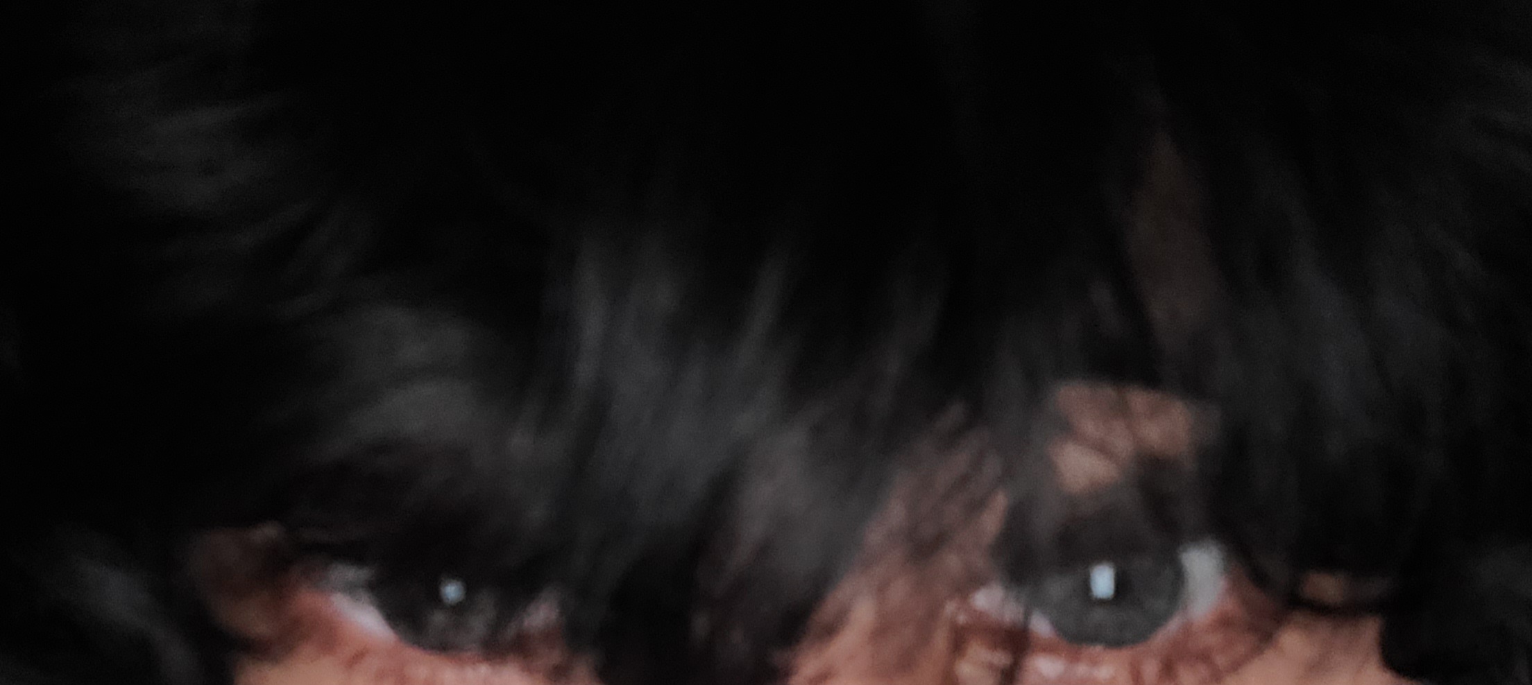 20231004 110548
