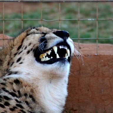 96454CC7 50B2 47B6 A3E8 E3AEA8CD1F9E