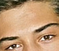 IMG 0243