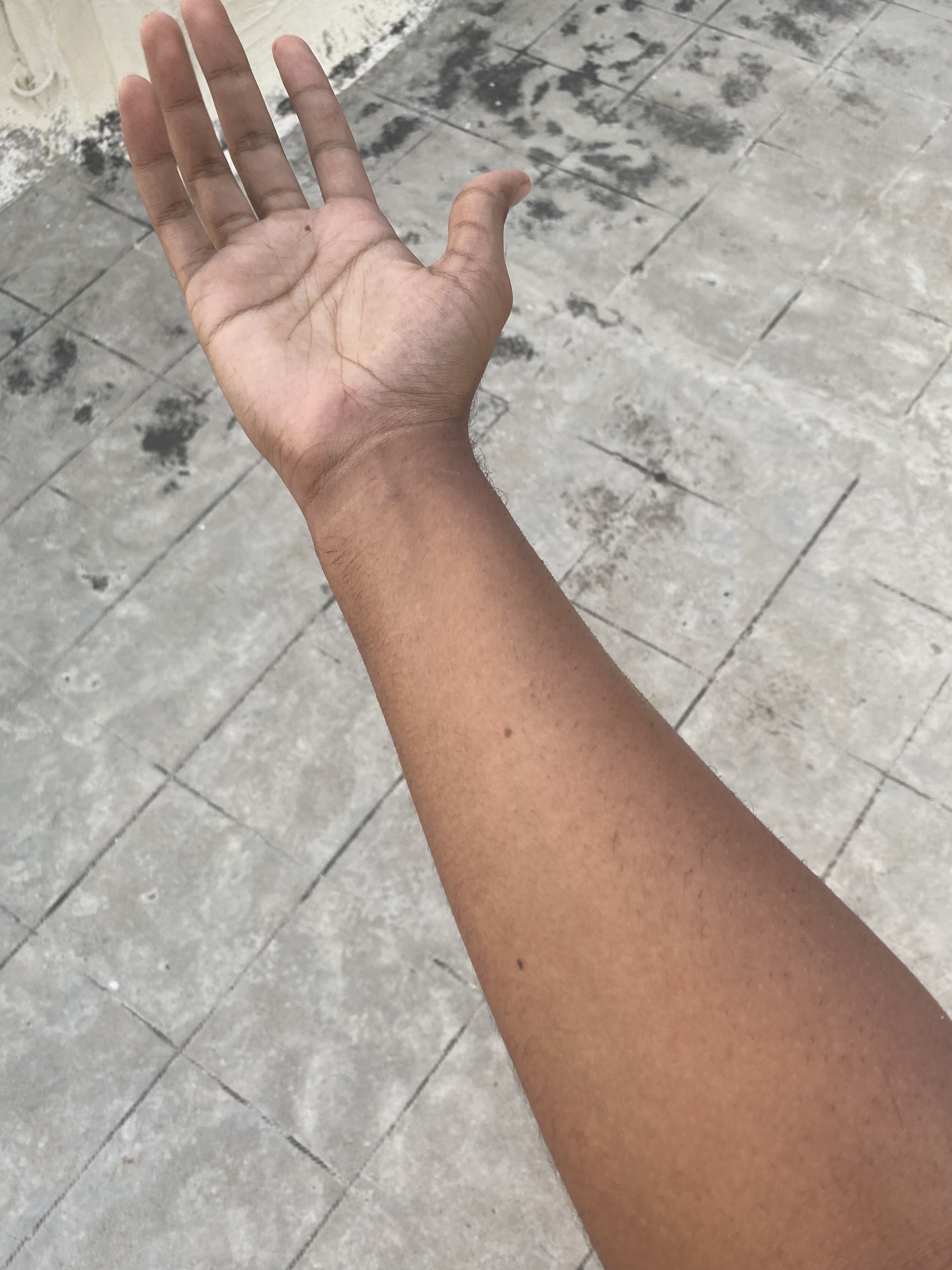 D2C65919 08FD 4B7F AFBB A9CC31D737D8