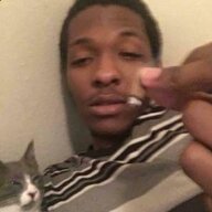 44036