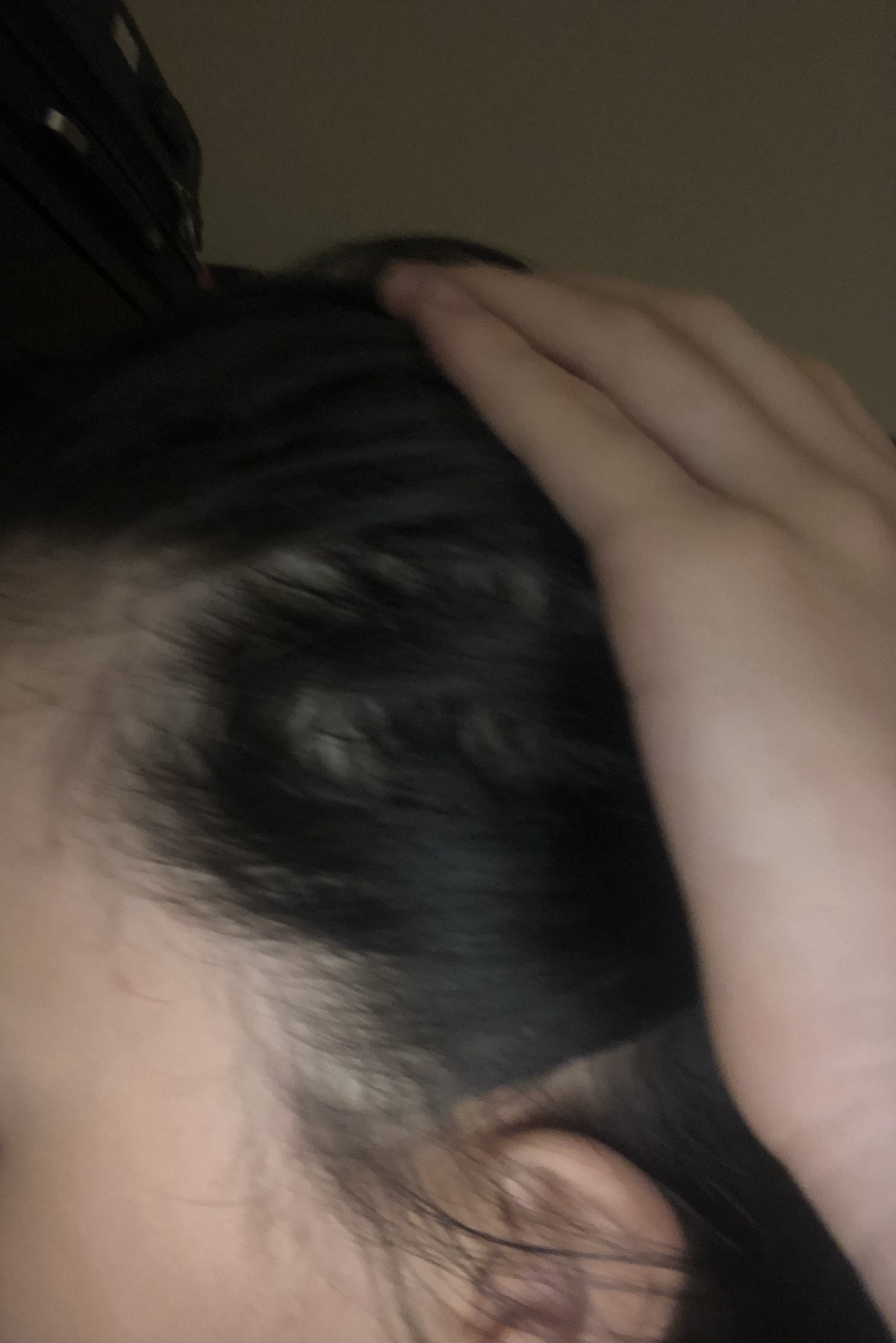 IMG 3462