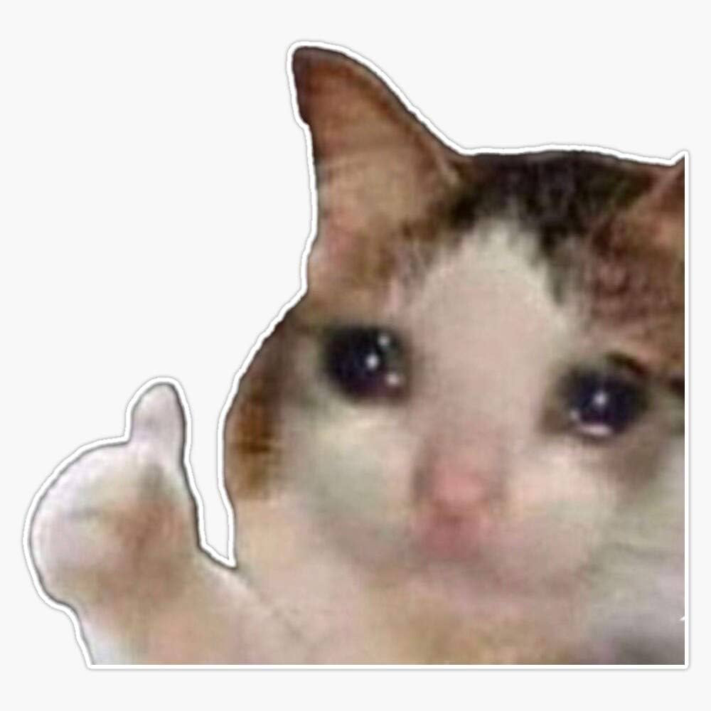 3455373 1686155432948