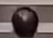 1697206812661