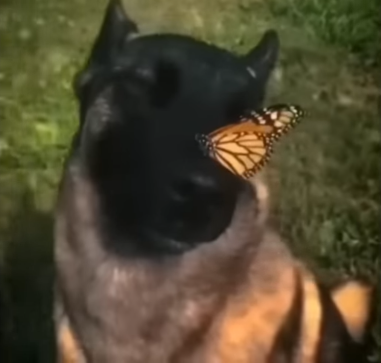 Screenshot 109
