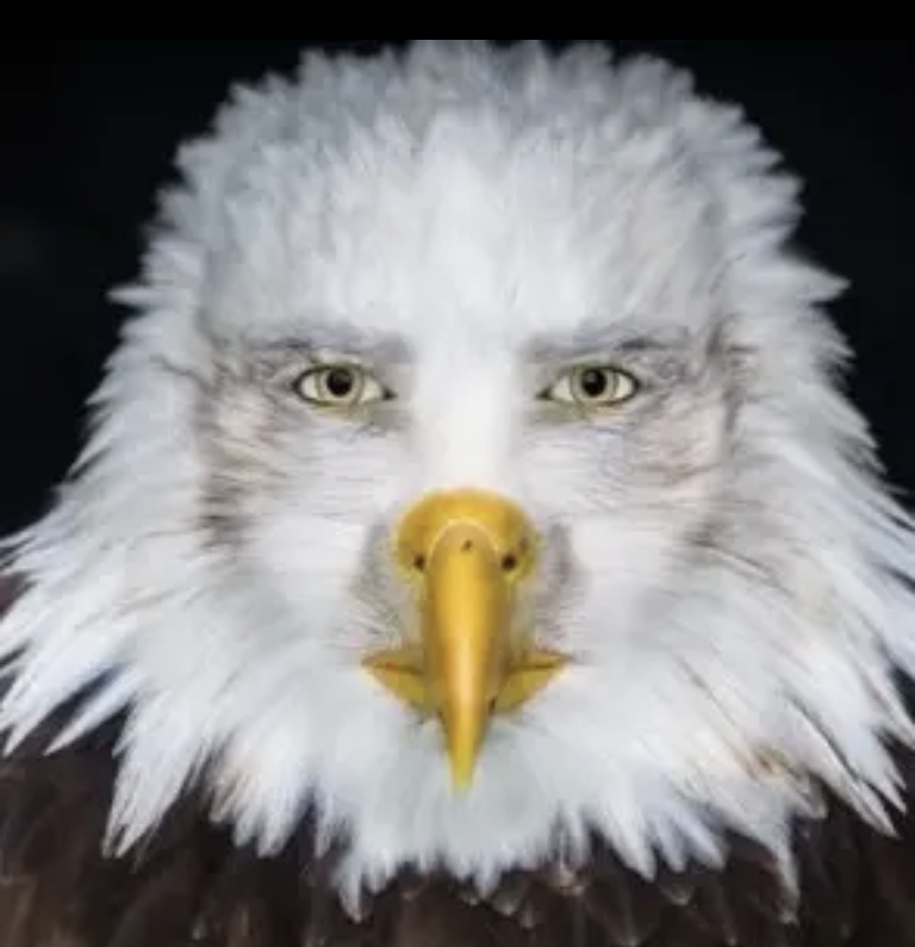 47641F48 E694 46E3 87EE 078D0AF3FA85