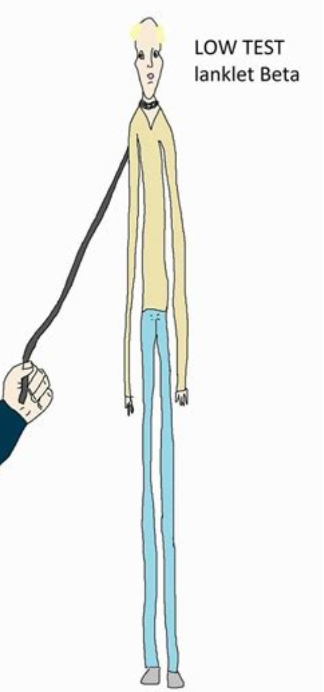 Screenshot 20231015 132038 DuckDuckGo