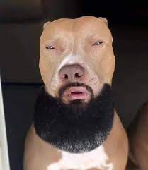 1697489202251