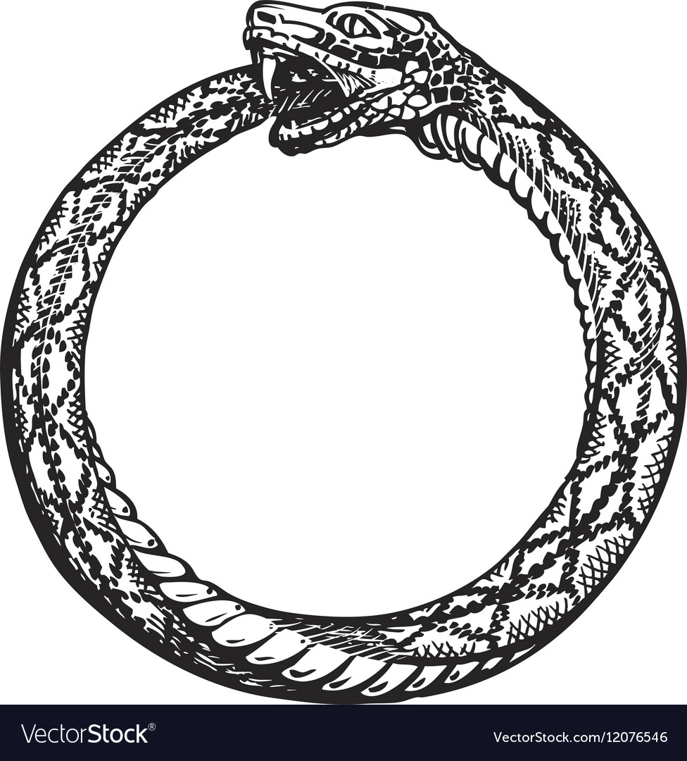 Ouroboros snake eating its own tail eternity vector 12076546