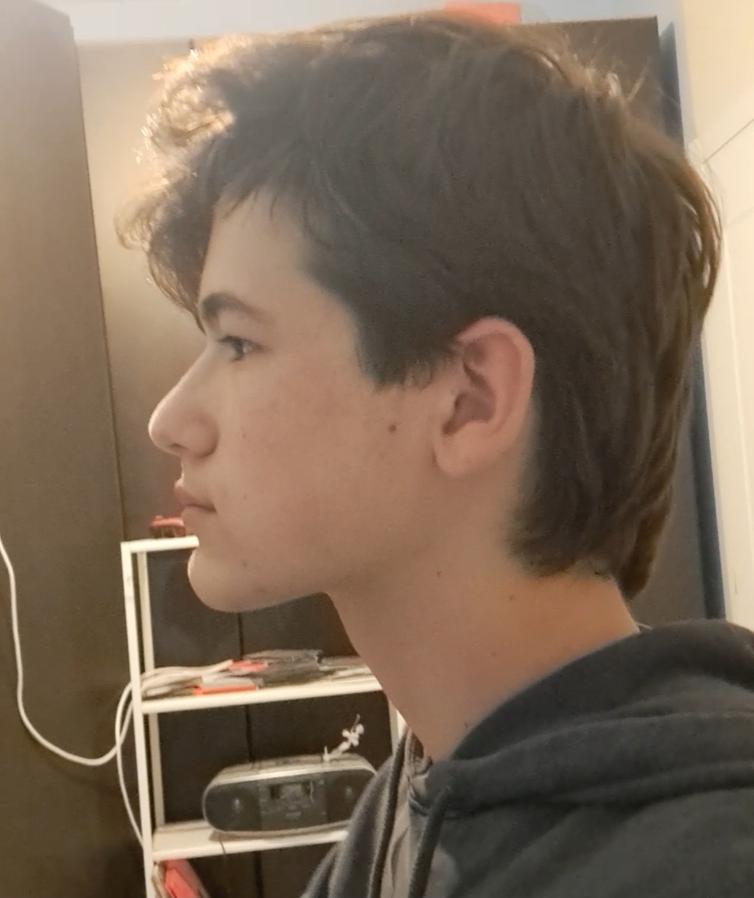 1000017699