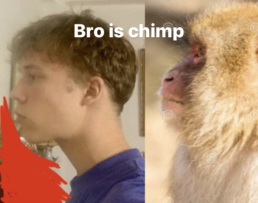 2DC8AE67 2416 4BE4 BD61 9AED29583EEC