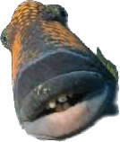 1697618305342