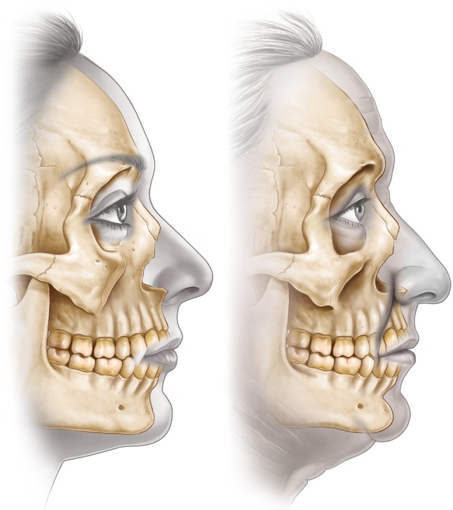 266 2012 9904 Fig4 HTML
