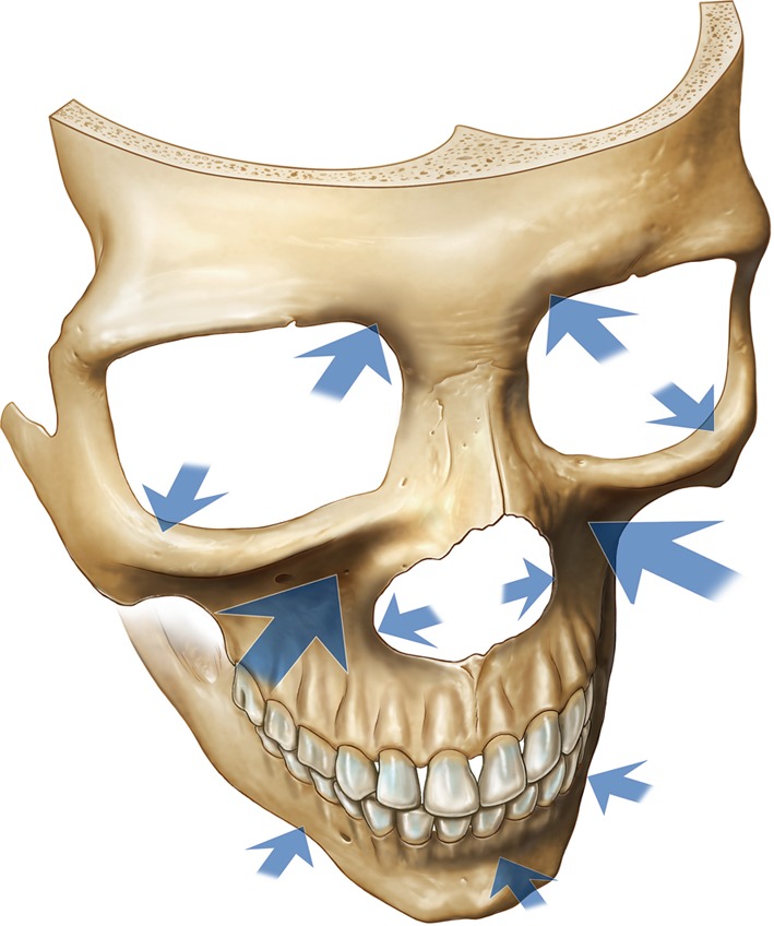 266 2012 9904 Fig5 HTML