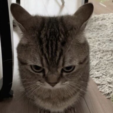 45208