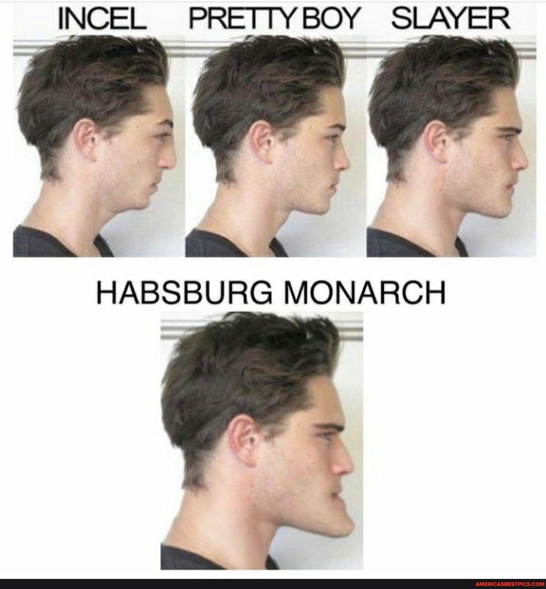 3698043 1697087435368