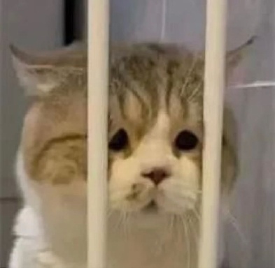 30254
