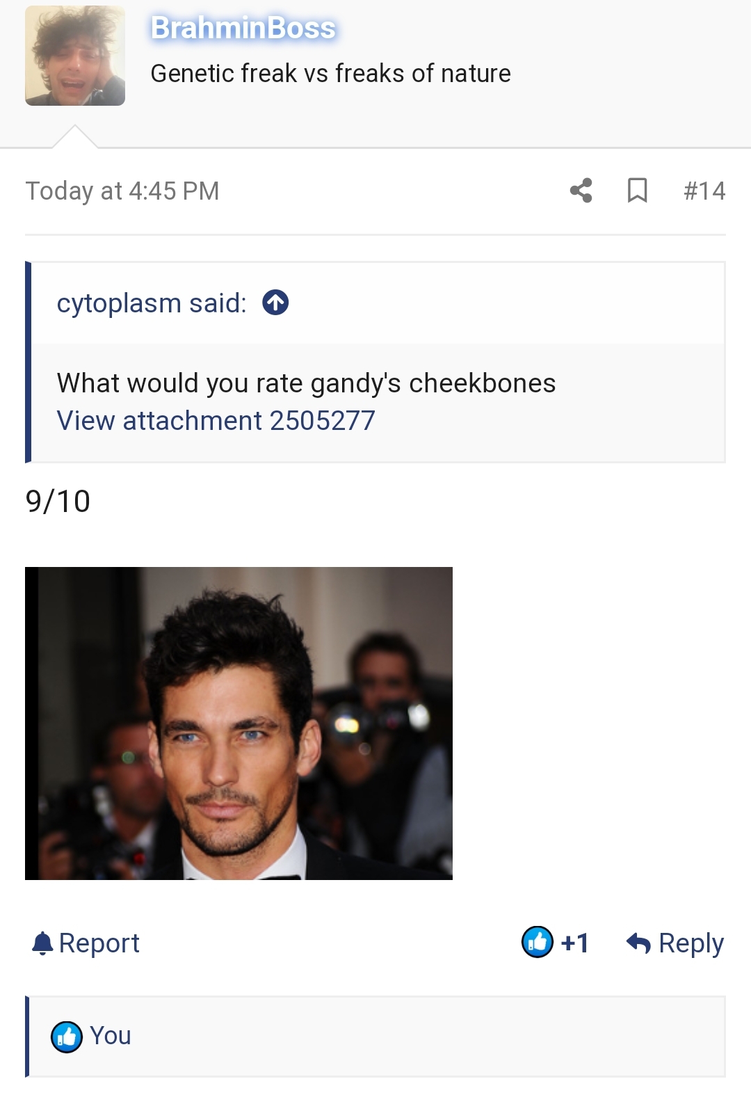 Wh5zjj67