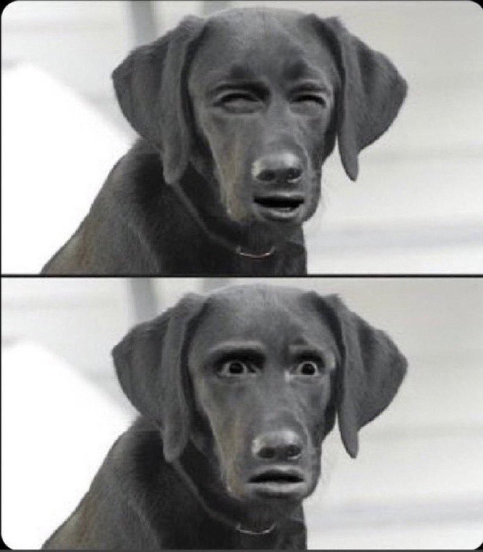 1000002518
