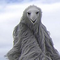 38407