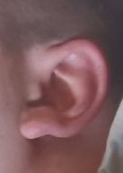 1698118145294 1698118145294