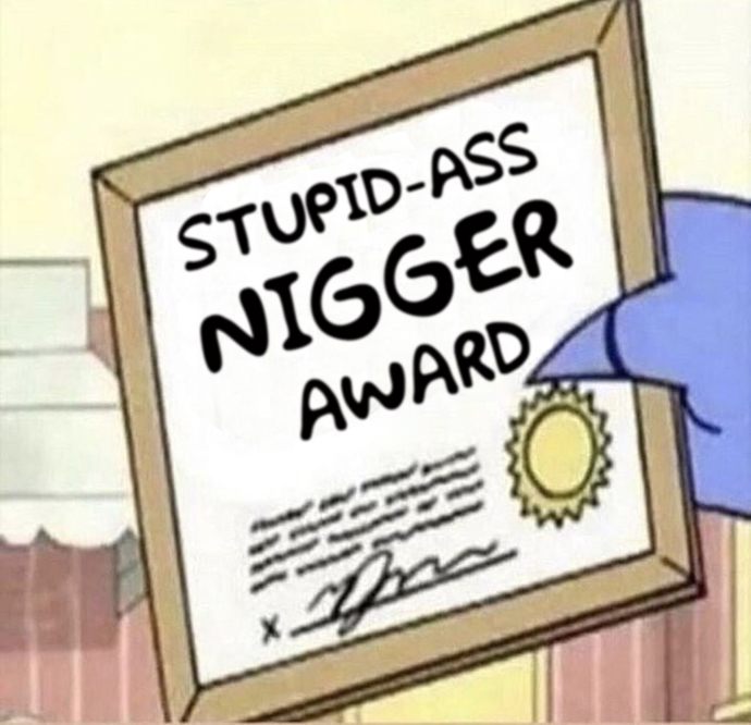 Stupid ass nigger award