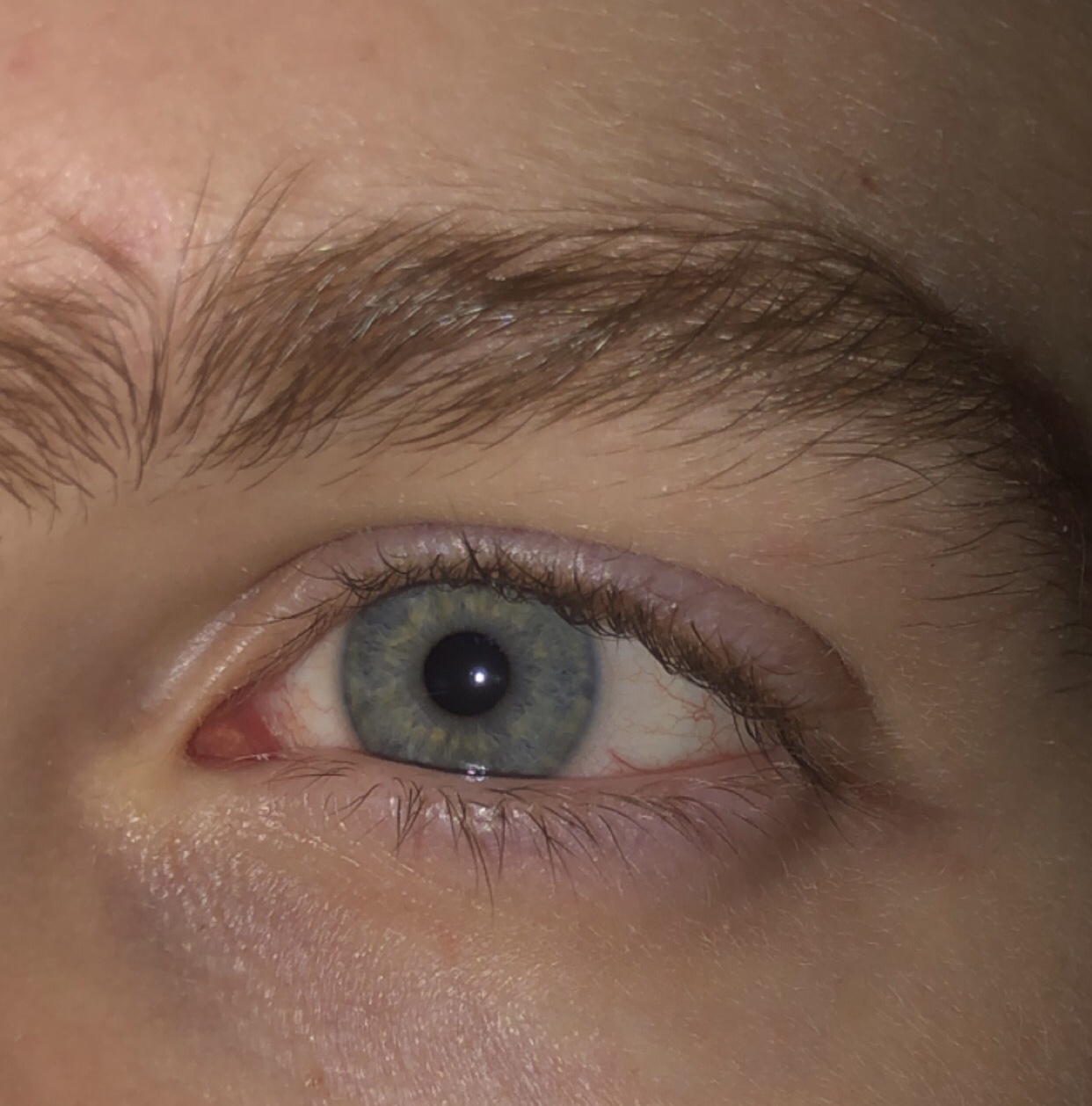 8B3985C0 A167 4D29 A882 BBAD93310A56