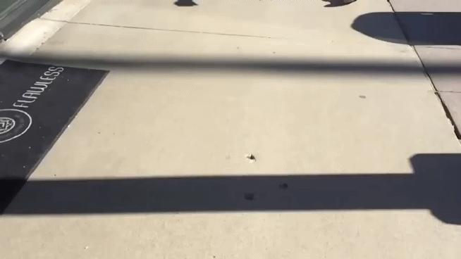 X2Downloadapp The biggest LIE of Manosphere 1