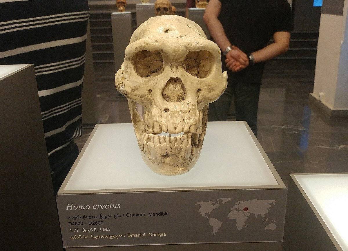 1698494791606