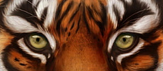 1698498346466