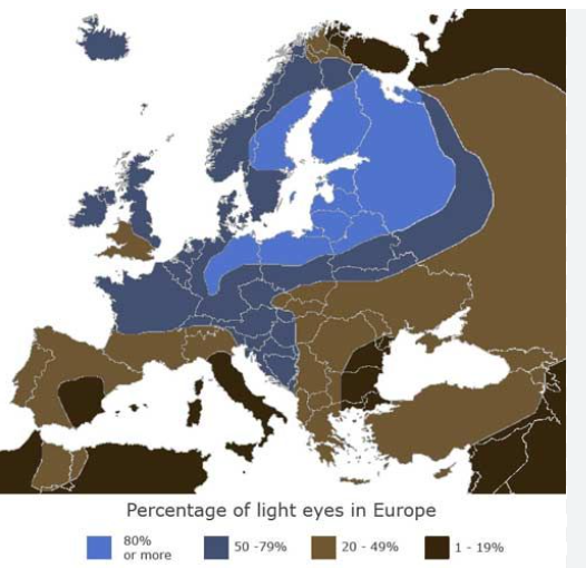 1698524914289
