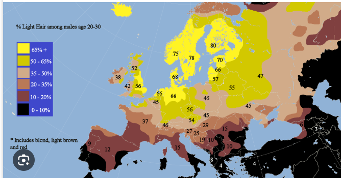 1698524933033