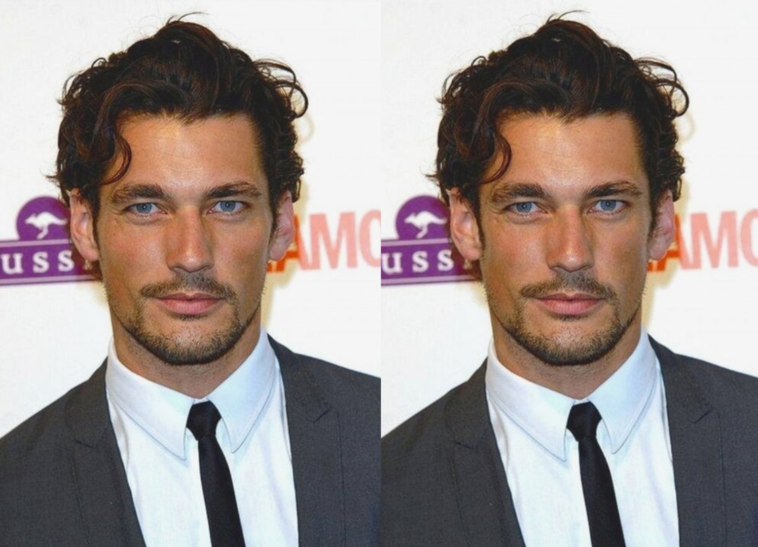 Gandy zygos