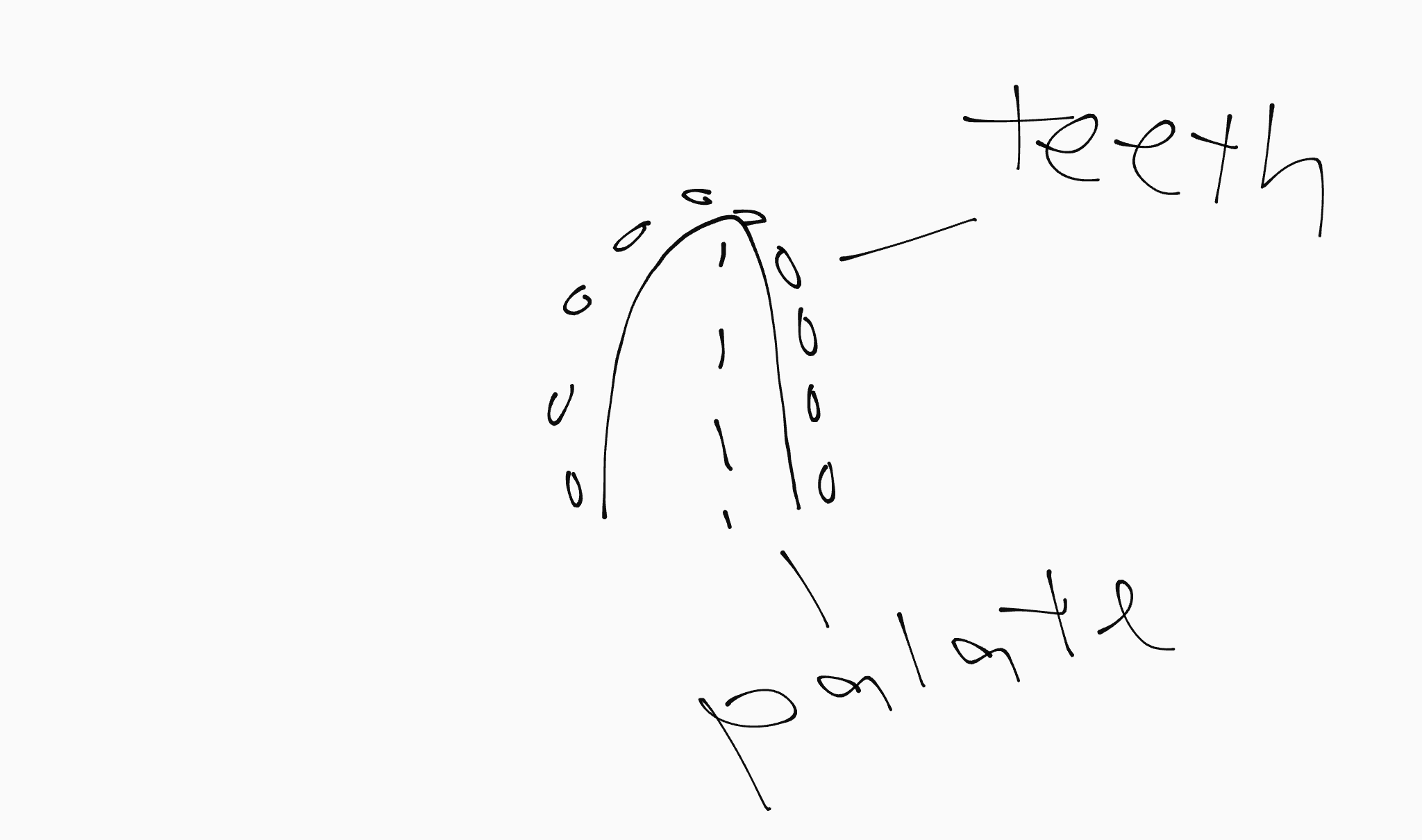 Canvas 1