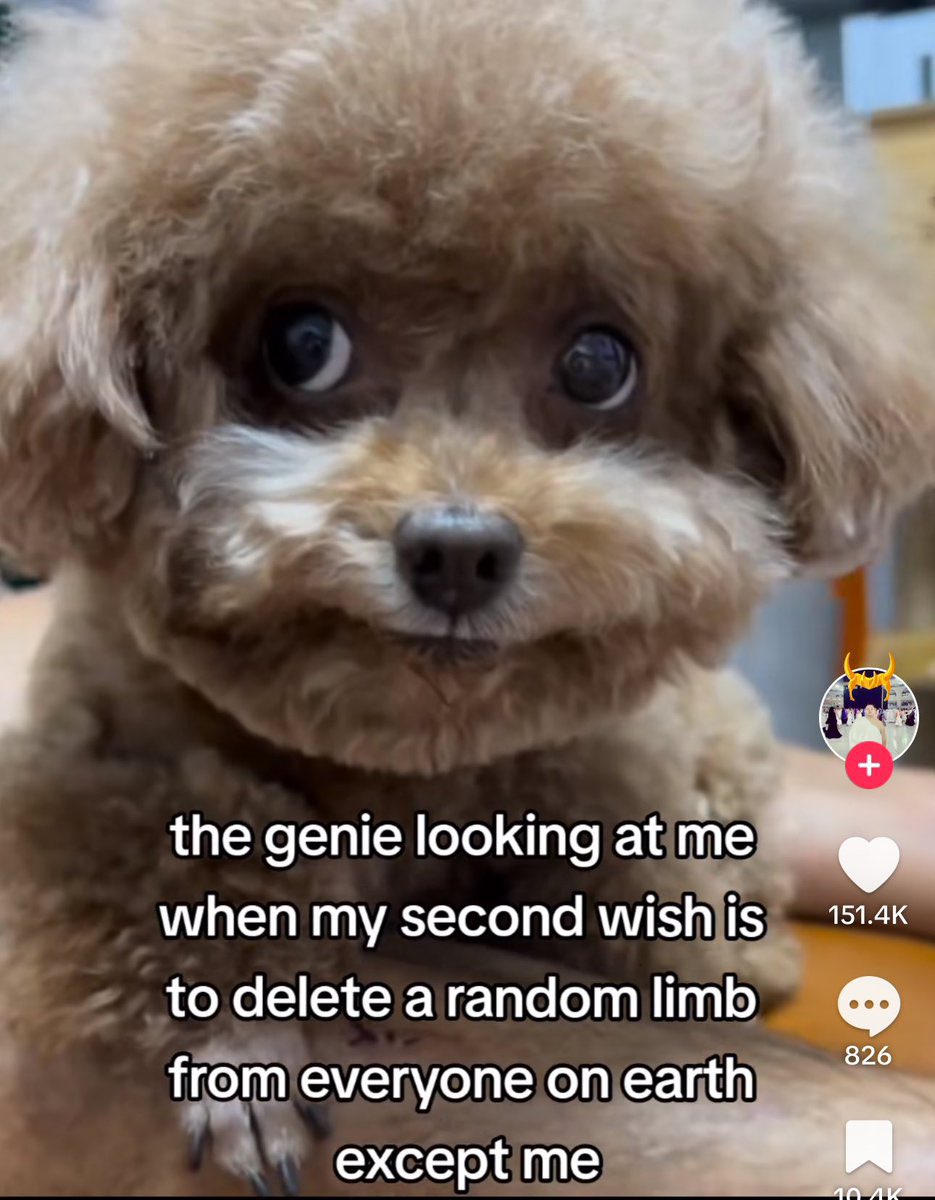1000008684