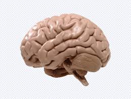 Images 6