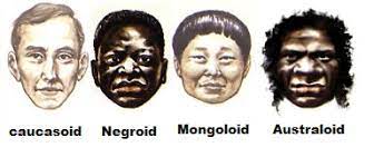 Race — lesson. Social Science, Class 7.