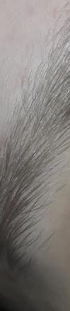 Eyebrow