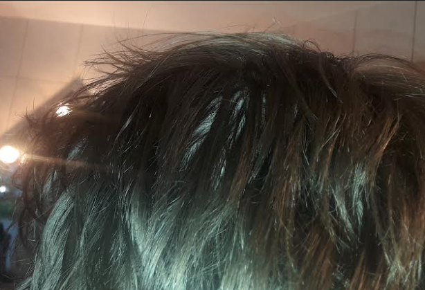 Pic3