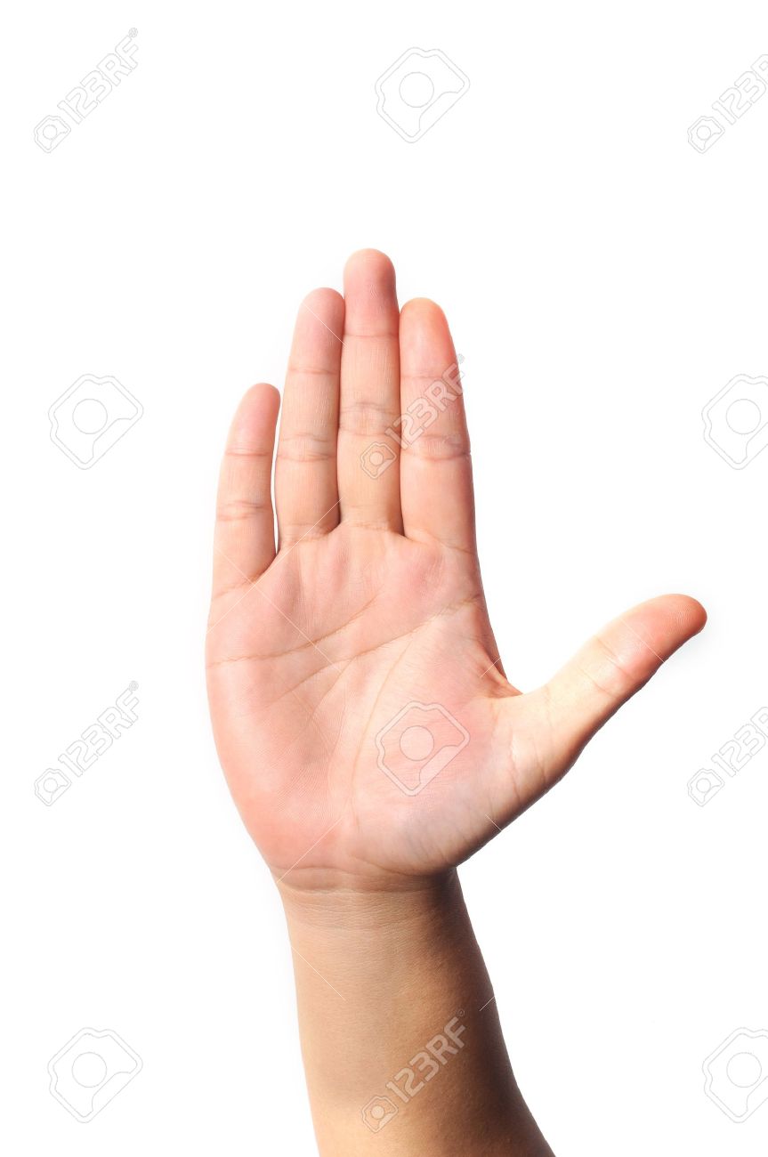 11079965 right hand five fingers isolated with white background