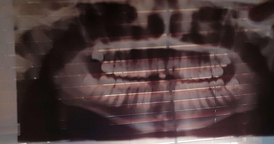 20231013_140256.jpg