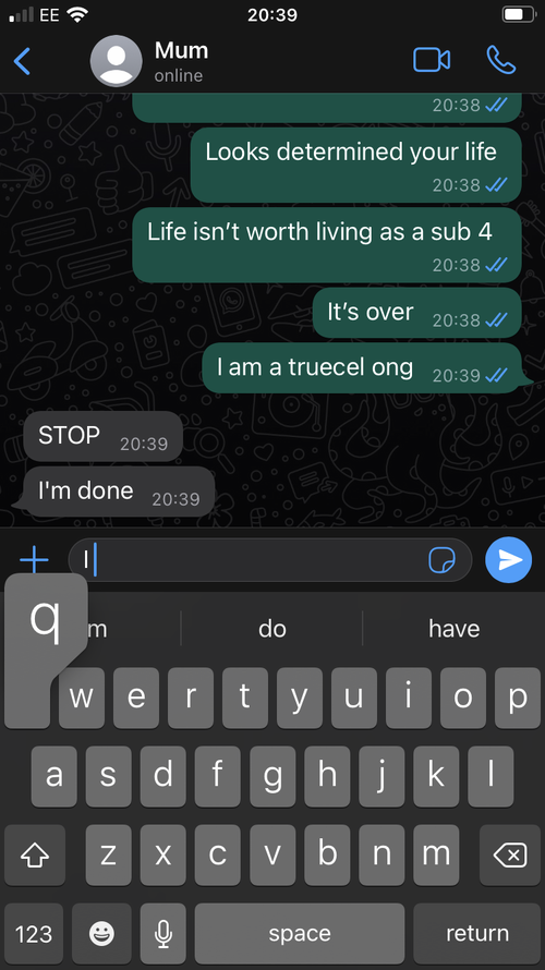 3131519 11