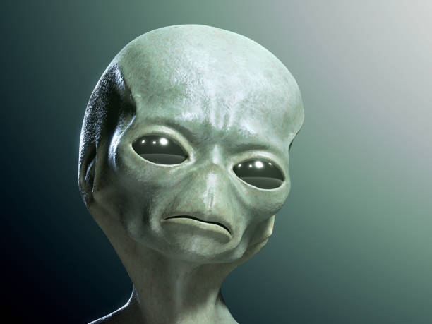 1697476144343.png
